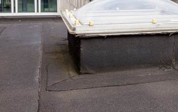 disadvantages of The Village flat roofs